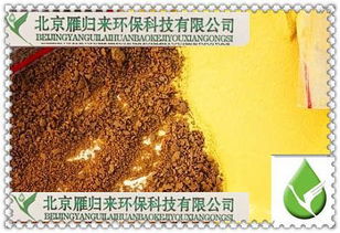 煙臺(tái)聚合硫酸鐵應(yīng)用領(lǐng)域與環(huán)保技術(shù)開發(fā)